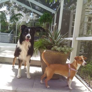 Meet your Posher, Marcus